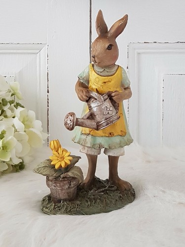 Hasenmädchen hase hasenkind - hase,