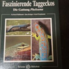 Faszinierende Taggeckos