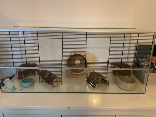 Hamsterkäfig glas gebraucht - glas,