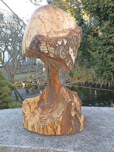 Pilz holzkunst deko - pilz, |