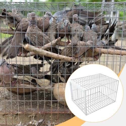 Tauben vogelfalle käfig - tauben,