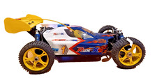 4 WD-OFF-Road Buggy REX-X