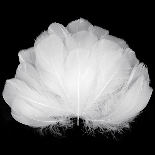 White feathers for crafts - white,