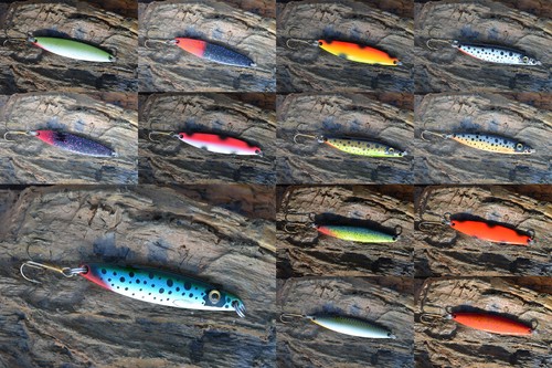 Falkfish sard blinker - falkfish,