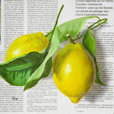 Zitronen Bild Gemälde auf