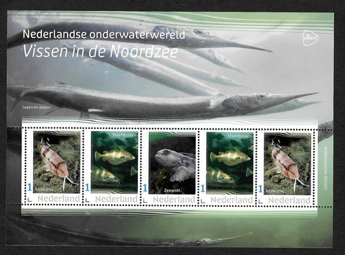 Niederlande 2022 vissen de - niederlande, in