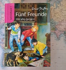 Buch "Fünf Freunde - wie