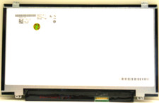 AU Optronics Laptop Display