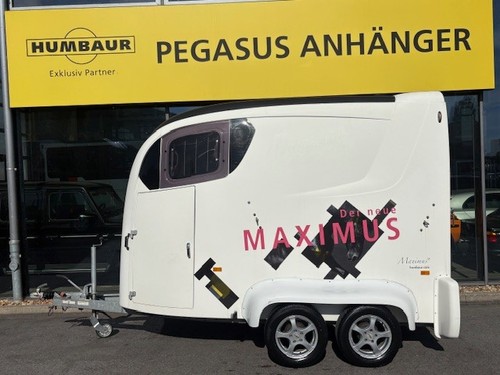 Humbaur maximus - maximus, 2