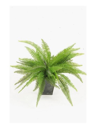 Artplants kunstpflanze boston - kunstpflanze,