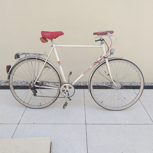 Hercules sportrad 60cm - rh,