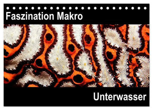 Faszination makro unterwasser - faszination,