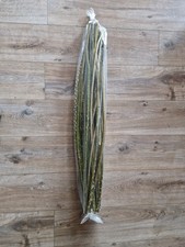 50x Weide Stecklinge - ca. 50