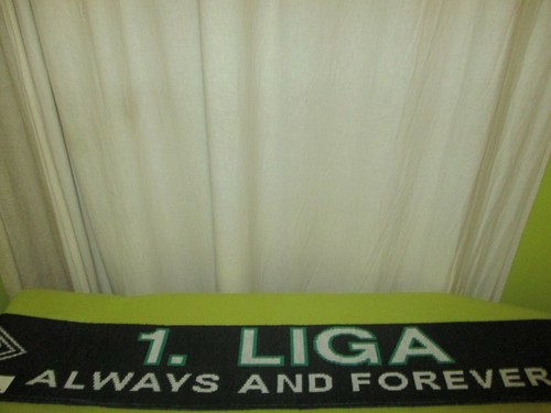 Borussia mönchengladbach fan - borussia,