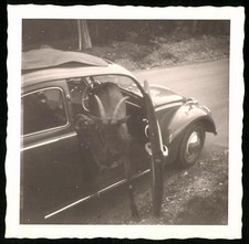 Fotografie Ziege läuft durch