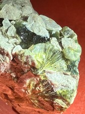 1a Wavellit XX, radialstrahlige Aggregate. Mt. Mauldin, Montgomery Co., Arkansas