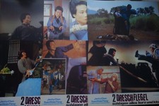 Konvolut 12 alte Aushangfotos