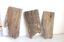 Schwemmholz Treibholz 3