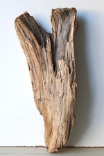 Treibholz Schwemmholz