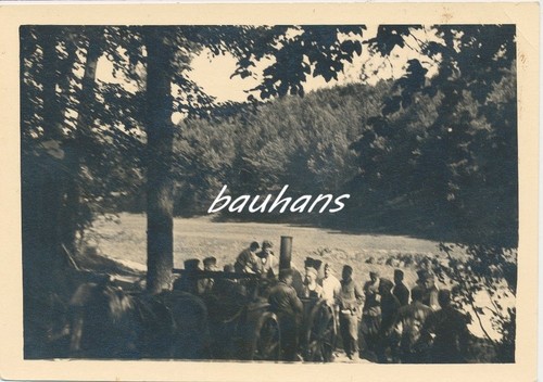 Foto pferdegespann mit - foto-pferdegespann,