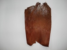 1 Kg Kokusfaser Cocosfaser Palmfaser Kunstpalme Palme DEKO  Kg/9,90€