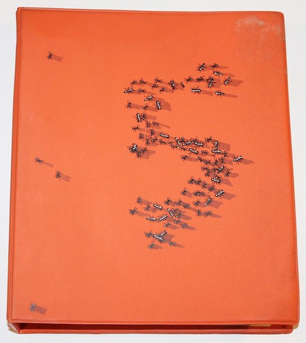 Documenta ringordner - 5, ,