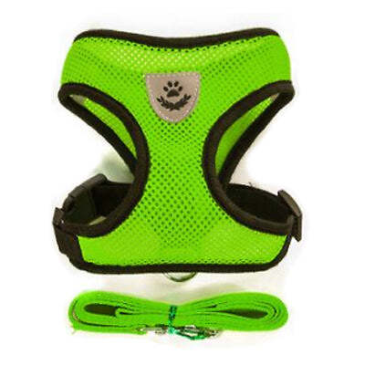 Soft mesh chihuahua - soft,