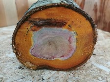 Pflaume Drechselholz 25×10,5