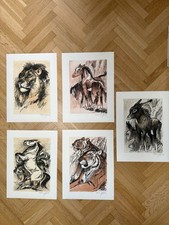Cefischer Lithographien Bilder 5 Stück Löwe Pferd