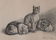 Johann Adam Klein Katzen Tierdarstellung Original Kupferstich 1845