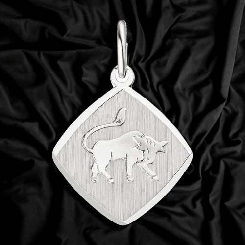 Anhänger sternzeichen stier - anhänger,