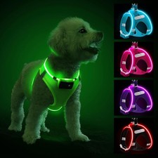 Hundegeschirr LED