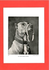 Ave, Caesar, morituri te