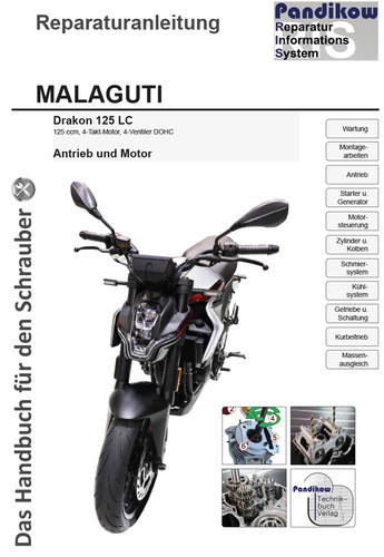 Reparaturanleitung ris - reparaturanleitung,