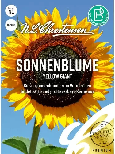 Sonnenblume yellow giant - sonnenblume,