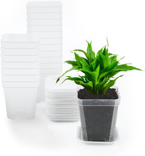 12Stück 7CM Anzuchttöpfe