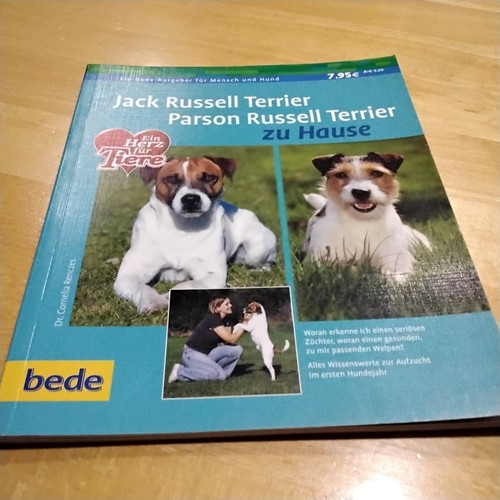 Jack russell terrier parson - jack, terrier/