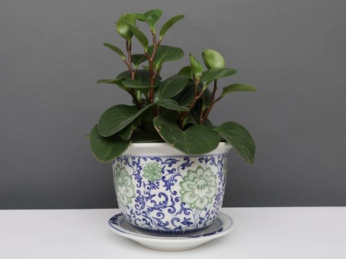 China porzellan blumentopf - porzellan,