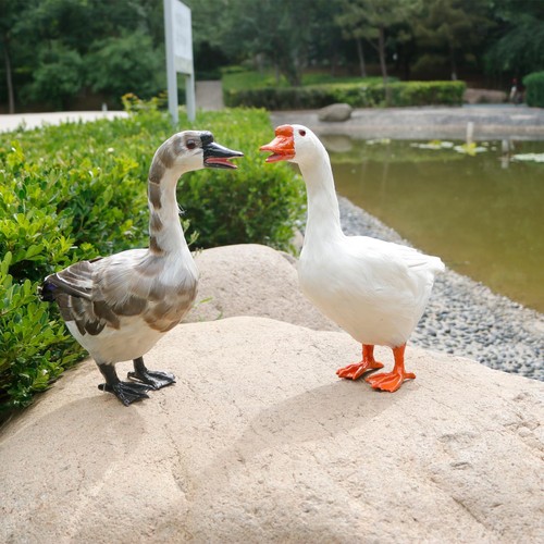 Gefiederte gans statue - gefiederte,