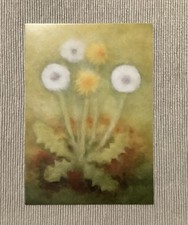 1  Postkarte, Löwenzahn