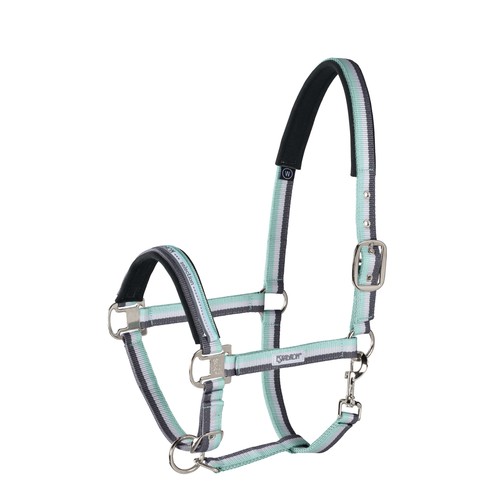 Halfter dornschnalle basics - dornschnalle,