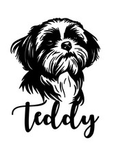 Shih Tzu Hund individuell