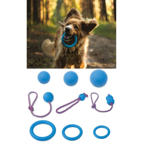 Hundespielzeug premium - hundespielzeug,