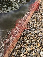 Nr.46 - Doppelreuse,fischreuse