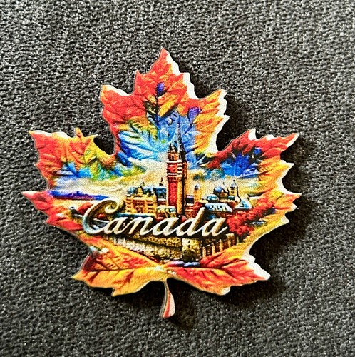 Souvenir kühlschrank magnet - souvenir,