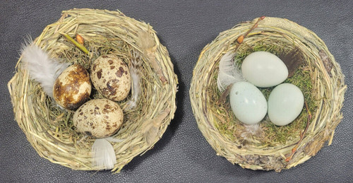 "Osternest aus