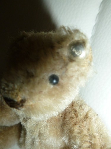 Original steiff teddy minibär - original,