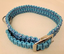 Hunde Halsband Türkis