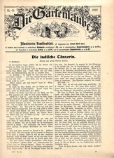 Die Gartenlaube, Nr.43, aus