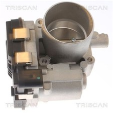 Triscan Drosselklappenstutzen